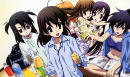 动漫后宫番,动漫世界中的权力与爱情角逐